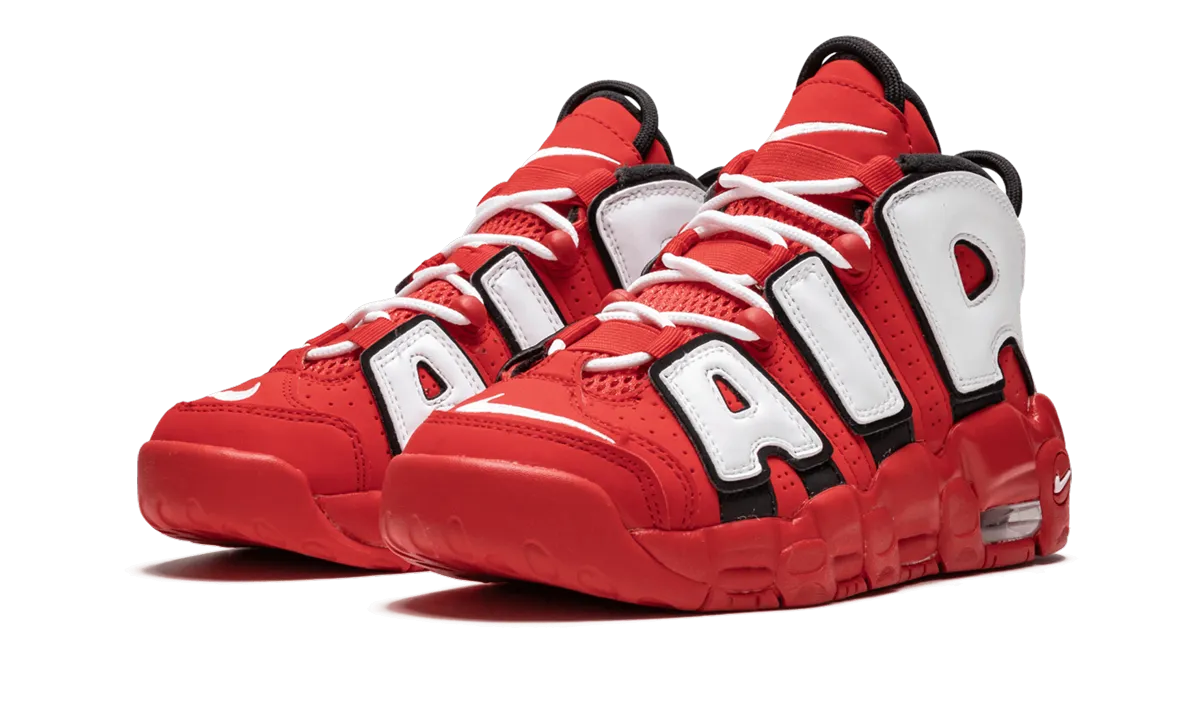 Torsional Stability Adaptive Heel Lock Air More Uptempo QS GS