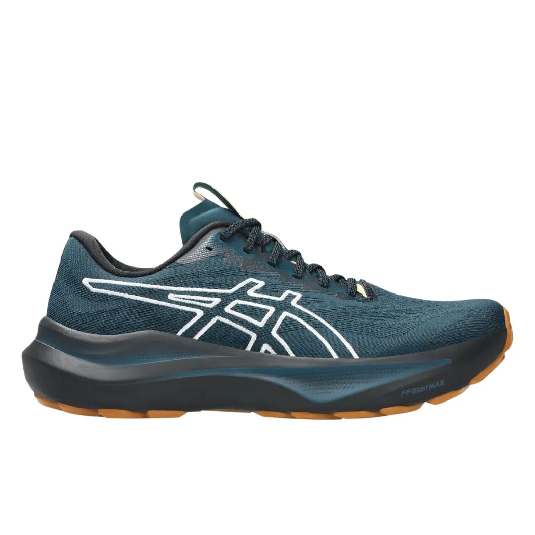 comfortable shoe feel asics GT-2000 14 TR Men's Trail Running Shoes