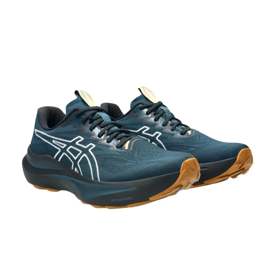 asics GT-2000 14 TR Men's Trail Running Shoes trail - running - shoes interval training shoe compatibility