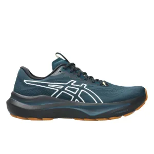 comfortable shoe feel asics GT-2000 14 TR Men's Trail Running Shoes