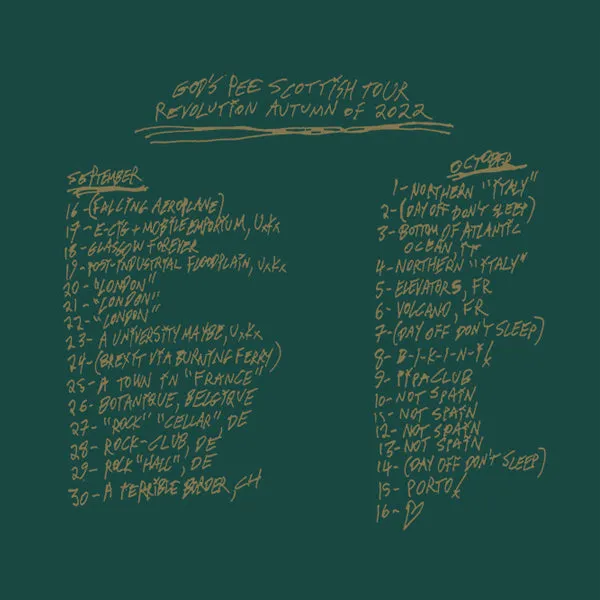 Fade Resistant Dye Comfort Fit Design A State's Embrace Green T-Shirt