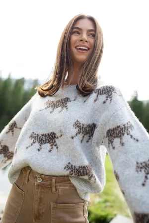 Reign Grey Cheetahs Pullover Sweater Fresh Glow