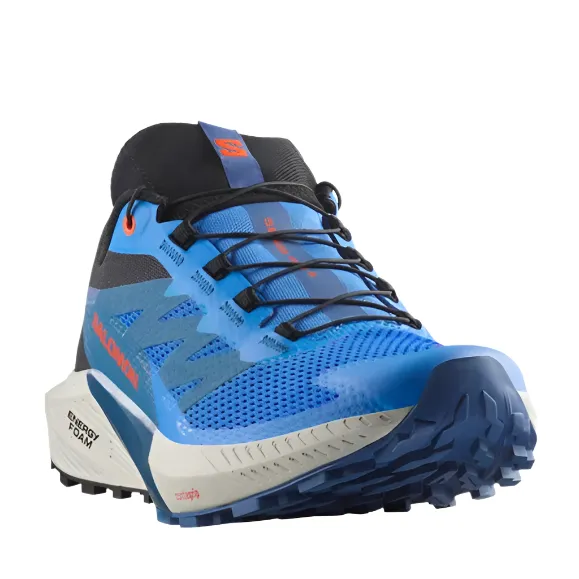 city running gear Salomon Mens Trainer Sense Ride 5 French Blue/Black/Dark Blue